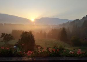 a misty sunrise over a field with flowers at Schmuckhof inklusive Chiemgau Karte in Siegsdorf +7 photos