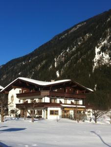 Gallery image of Hotel-Garni Almhof in Mayrhofen