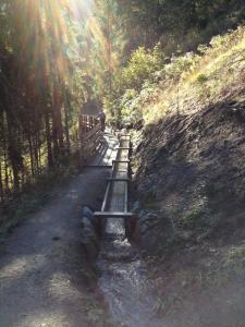 Loodusmaastik palkmajakese lähedal