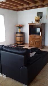 ein Wohnzimmer mit einem schwarzen Sofa und einem TV in der Unterkunft Gîte Etchegoyhen in Lacarry-Arhan-Charritte-de-Haut