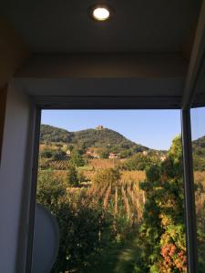a view of a hill from a window of a house at Izabella Vendégház Somló in Doba