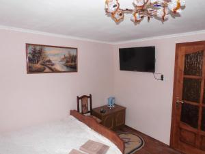 シネヴィルにあるSynevyrske Perehrestyaのベッドルーム(ベッド1台、薄型テレビ付)