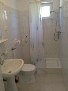 a bathroom with a toilet and a shower and a sink at Rozs Ház in Zalakaros +8 photos