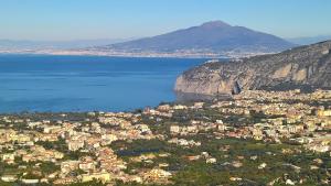 an aerial view of a city next to the water at Villa Flavia in Sant'Agnello