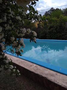 una piscina azul en un patio con un árbol en Los abedules en Capilla del Monte