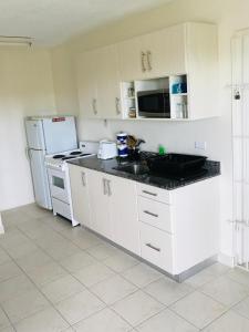 Kuchyň nebo kuchyňský kout v ubytování Turtle Ridge Apartments