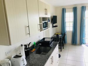 a kitchen with a sink and a counter top at Turtle Ridge Apartments in Saint James