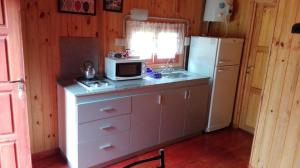 a kitchen with a counter with a microwave and a refrigerator at Cabañas la soñada in Chascomús