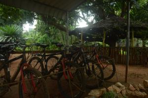 a group of bikes parked under an umbrella at Sujatha Tourist Rest in Dambulla