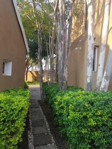 Ein Garten an der Unterkunft The Leopard Tree
