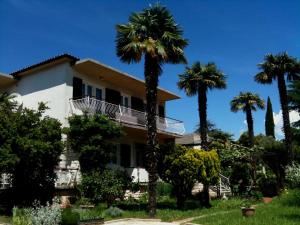 a house with palm trees in front of it at Accommodation Vitalio in Umag