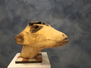Midden-EierlandPrivate Logies Texel Woodart的相册照片