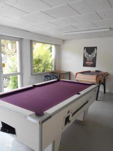 Biliár nebo kulečník v ubytování Bontempo Village camping 4 étoiles