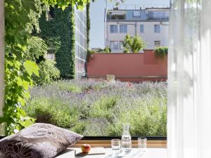 Zahrada ubytování Boutiquehotel Stadthalle