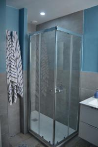 een douche met een glazen deur in de badkamer bij Beautiful Central Cadiz in Cádiz