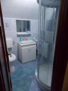 a bathroom with a shower and a toilet and a sink at Casa Floro in Comăneşti