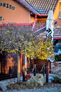 Afbeelding uit fotogalerij van Bástya Panzió és Étterem in Mezőpeterd