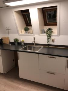 a kitchen with a sink and two windows at Birkebeiner Apartment in Bergen