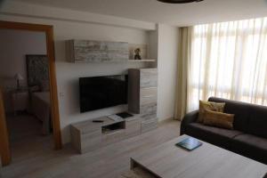 Televízia a/alebo spoločenská miestnosť v ubytovaní Apartamento Montes de Oca