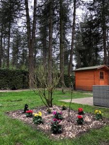 Zahrada ubytování Luxe vakantiehuis in het bos