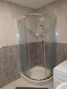 y baño con ducha y puerta de cristal. en Słoneczny Anioł en Łaziska
