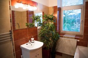 Koupelna v ubytování Apartmán u Horynů - Sadová + 26 fotografií