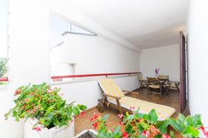 Fotografia z galérie ubytovania Apartments Little spring v destinácii Vodice