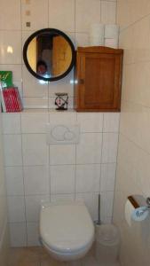 un piccolo bagno con servizi igienici e specchio di Apartments Vieux Chalet a Grimentz