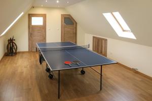 a ping pong table in the middle of a room at Villa Kasper in Szaflary