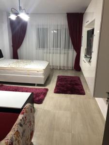 sypialnia z łóżkiem i 2 dywanami w obiekcie Ana Studio Apartment w mieście Gałacz