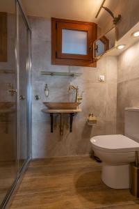 y baño con lavabo, aseo y ducha. en Kallisto Mountain House III, en Arachova