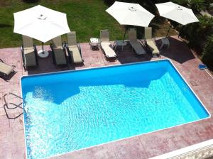 帕福斯的住宿－鑽石別墅酒店，享有带遮阳伞的游泳池的顶部景致
