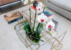 Zdjęcie z galerii obiektu Justicia Apartment II by Flatsweethome w Madrycie