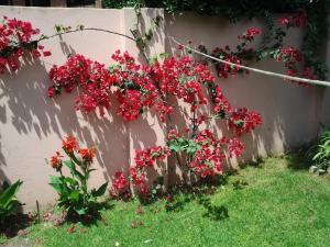 un montón de flores rojas en una valla en Bed & breakfast Familia San Martín en Vicente López