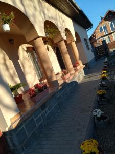 um edifício com vasos de plantas ao lado em Nárcisz B&B em Corund