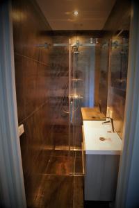 een badkamer met een douche en een wastafel bij Gastenverblijf Tjoene in Diepenveen