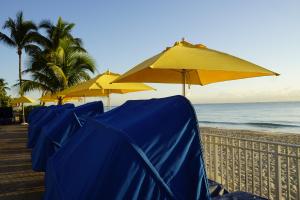 a row of blue and yellow umbrellas on a beach at Ocean Sky Hotel & Resort in Fort Lauderdale