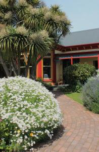 a garden with white flowers in front of a building at Chester St Backpackers in Christchurch