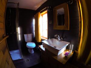 a bathroom with a sink and a toilet and a mirror at Hotel Antigua Casona Patagonia in Futaleufú
