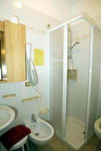 a bathroom with a shower and a sink at Albergo Garni Barancio in Auronzo di Cadore