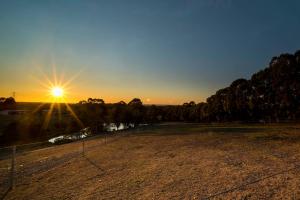 Gallery image of Blueberry Hills On Comleroy Farmstay - Self-Contained Cottages in Kurrajong
