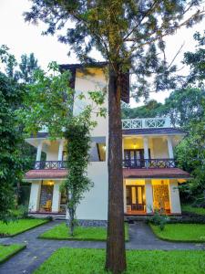 a house with a tree in front of it at Hotel Treetop in Thekkady