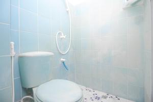 a blue bathroom with a toilet and a shower at RedDoorz Near PRPP Marina Semarang in Kalibanteng-lor