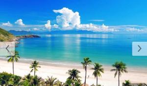 a view of a beach with palm trees and the ocean at Minh Cat Hotel in Nha Trang