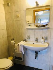 a bathroom with a sink and a toilet and a mirror at Pension Holzgarten in Regensburg