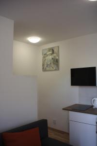 A television and/or entertainment centre at Apartmánový dom Mária