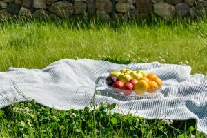a bowl of fruit on a blanket in the grass at Elite Apartments Family City Center in Gdańsk