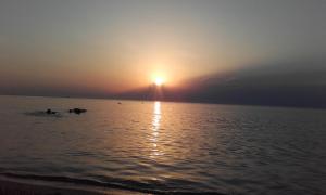 Paesaggio naturale nelle vicinanze della casa vacanze