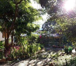 a garden with many plants and trees and the sun at Do Alto da Montanha Pousada in Vale do Capao +22 photos