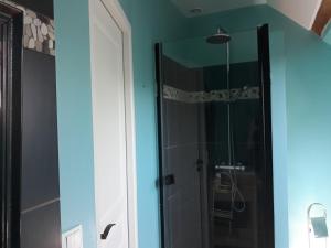 a bathroom with a glass shower with blue walls at Gite La Vigneronne en Touraine in Saint-Georges-sur-Cher +10 photos